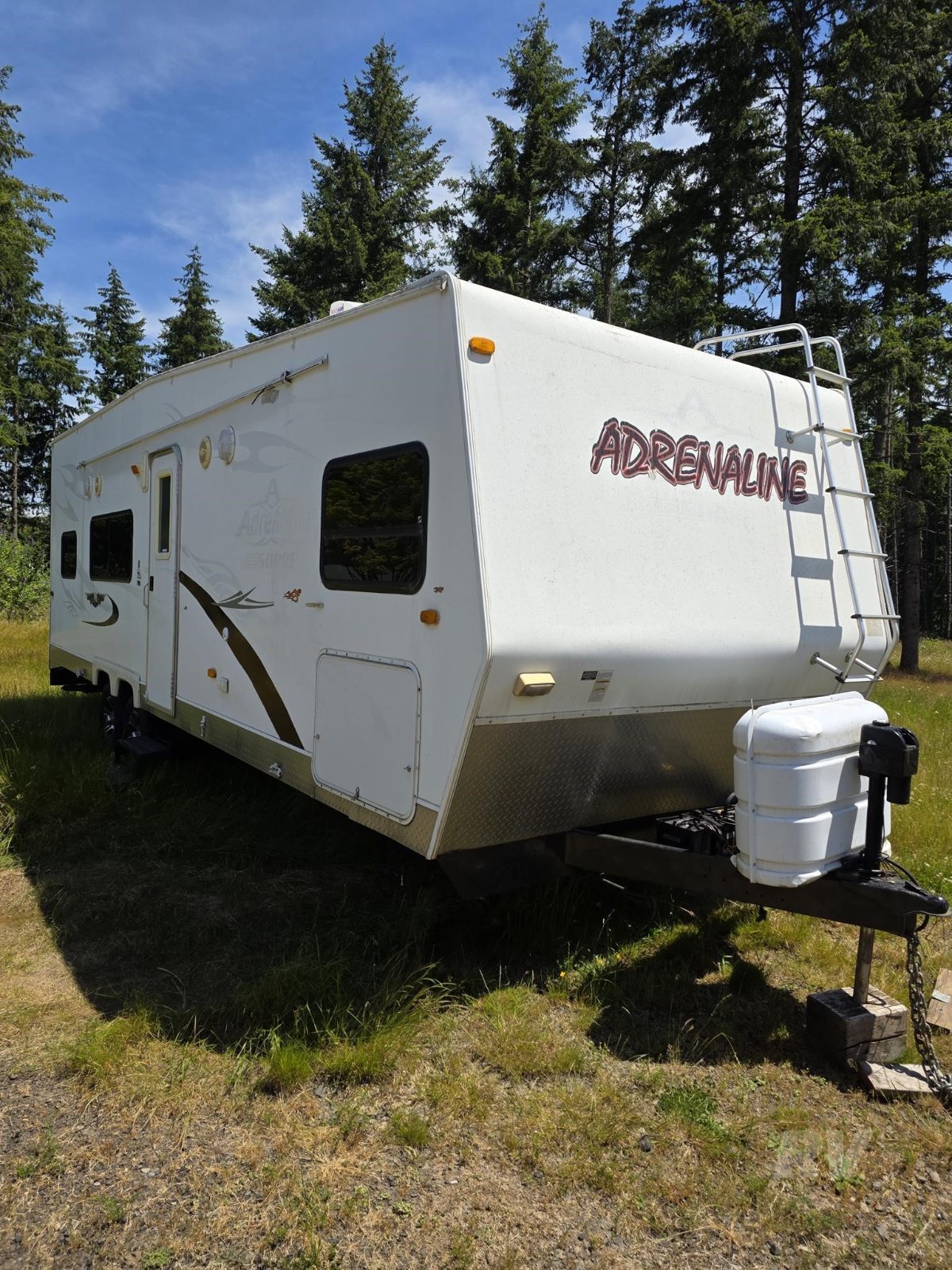 2008 Coachmen Adrenaline Surge 26FS